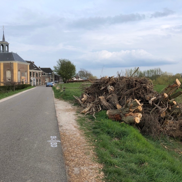 marterhopen en takkenrillen