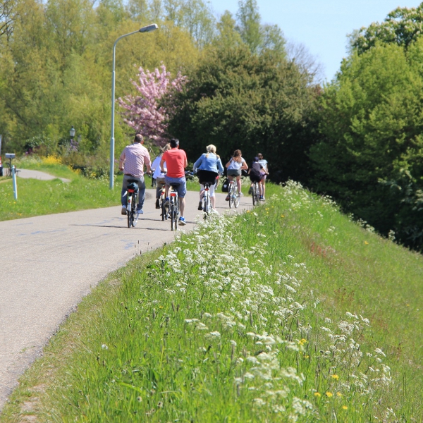 Fietsers op de dijk