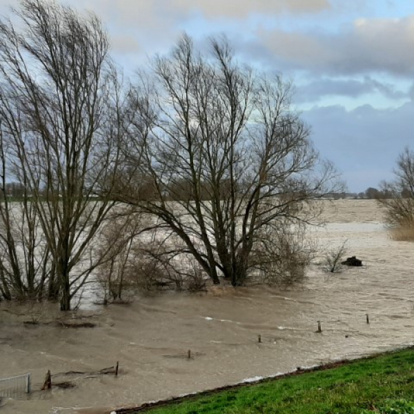 Hoogwater in 2020