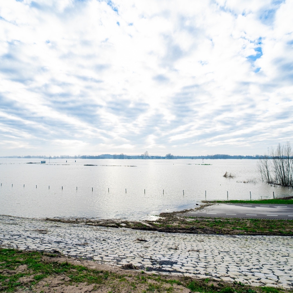 hoogwater op de Waal