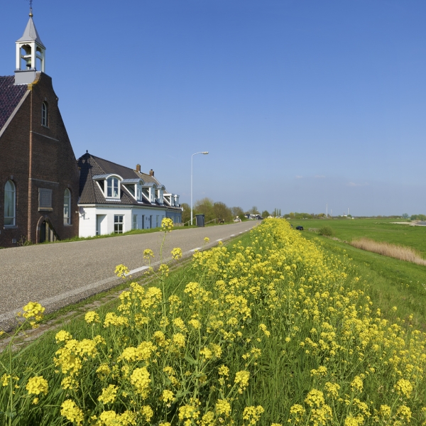 Dijk voorjaar