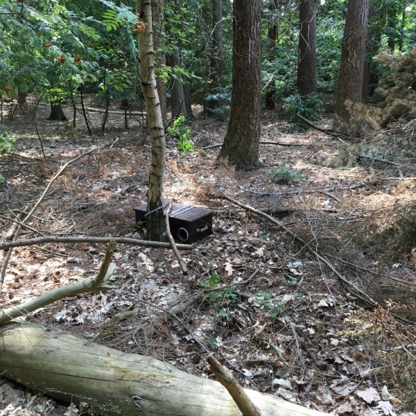 Veldonderzoek kleine marters