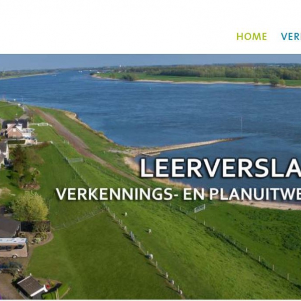 plaatje online leerverslag
