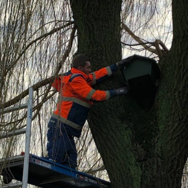 Nestkast ophangen